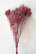 Brooms Dusty Antique Rose Color Preserved Bunch