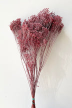 Brooms Dusty Antique Rose Color Preserved Bunch