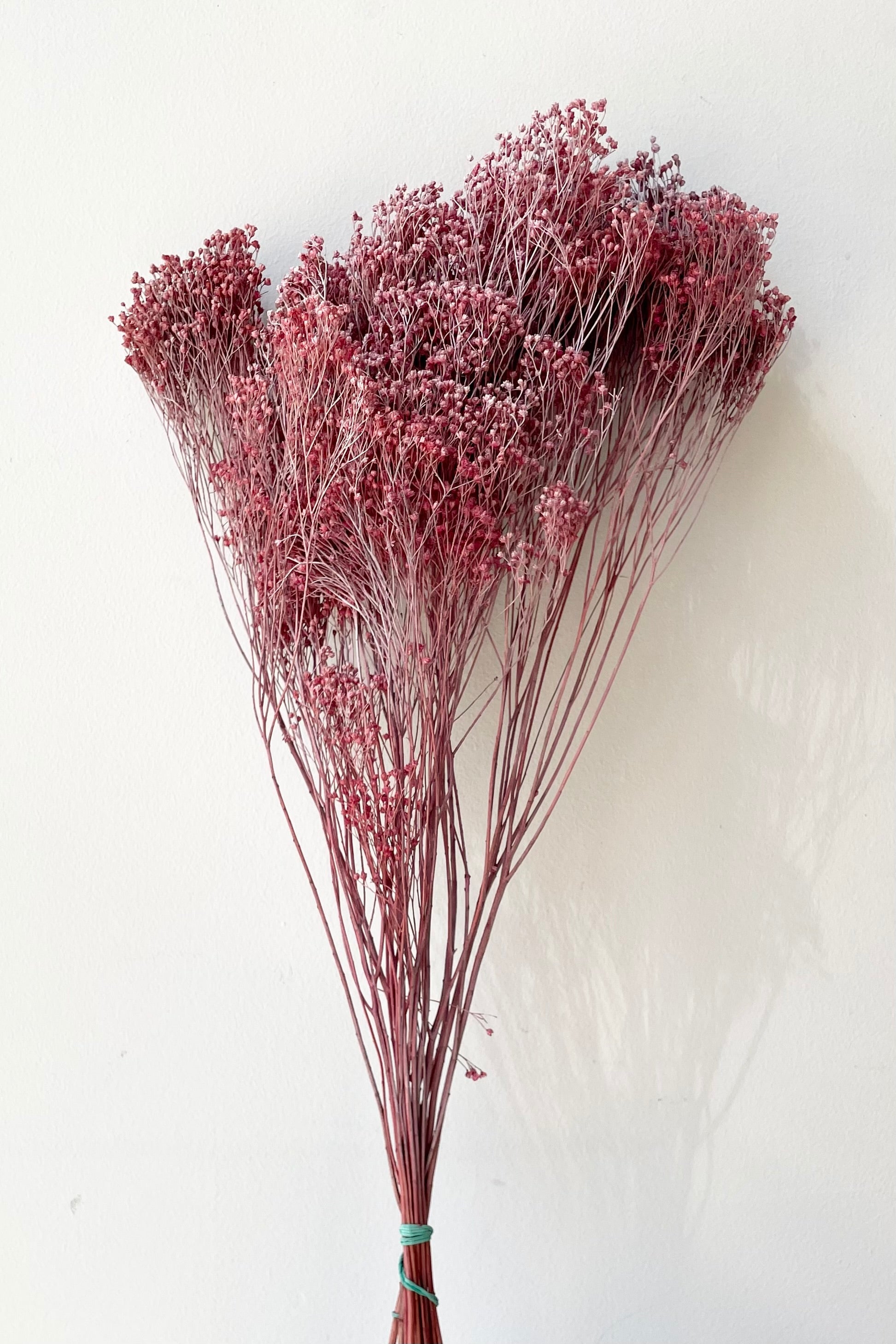 Brooms Dusty Antique Rose Color Preserved Bunch