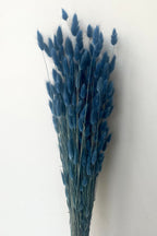 Lagurus Indigo Color Preserved Bunch