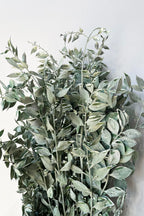 Ruscus Washed Green Matte Preserved Bunch