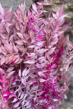 Ruscus Lavender w/Pink Tinted Preserved Bunch