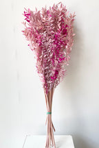 Ruscus Lavender w/Pink Tinted Preserved Bunch