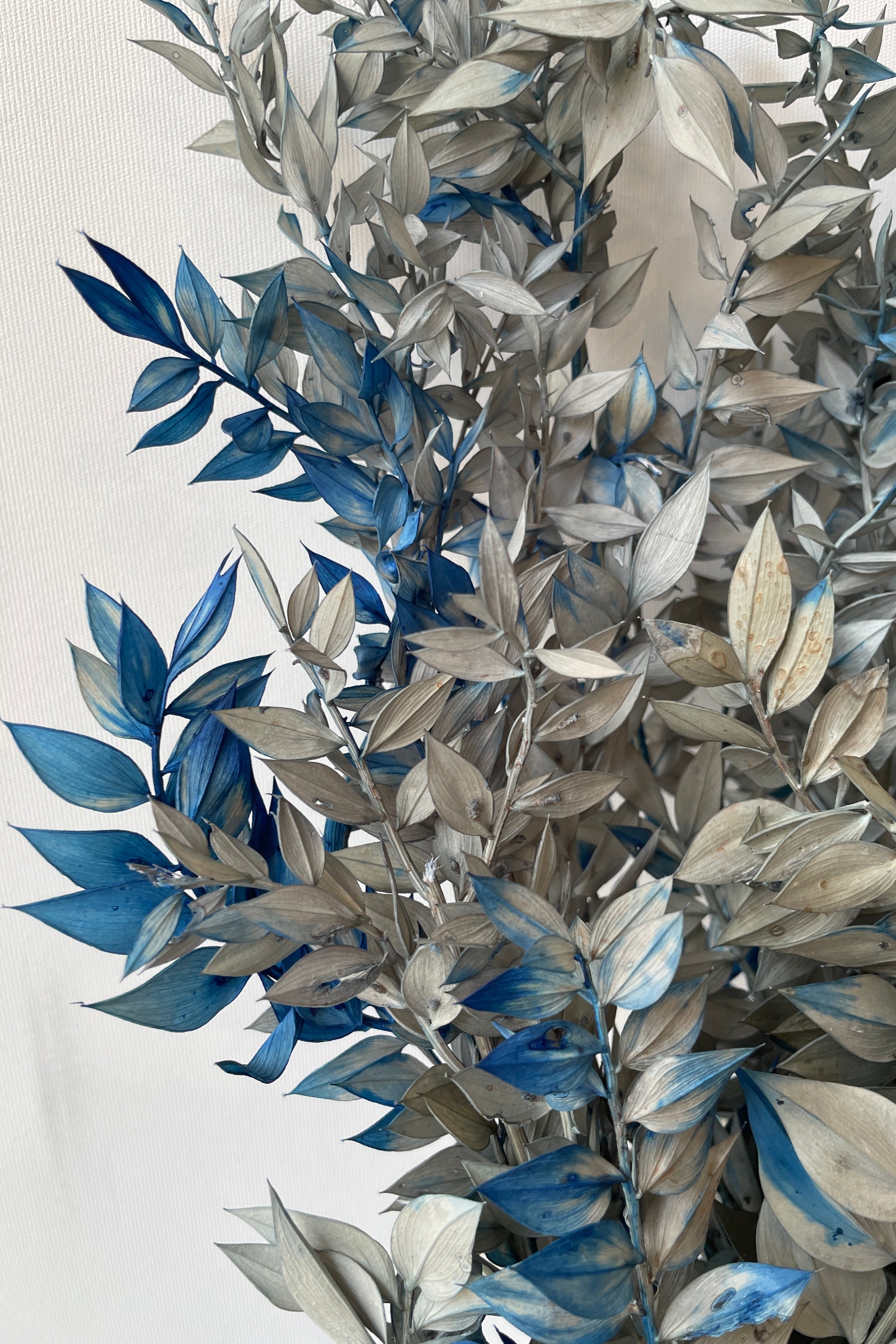 Ruscus Gray w/ Blue Tinted Preserved Bunch