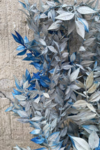 Ruscus Gray w/ Blue Tinted Preserved Bunch