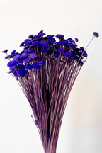 Botao Violet Color Preserved Bunch