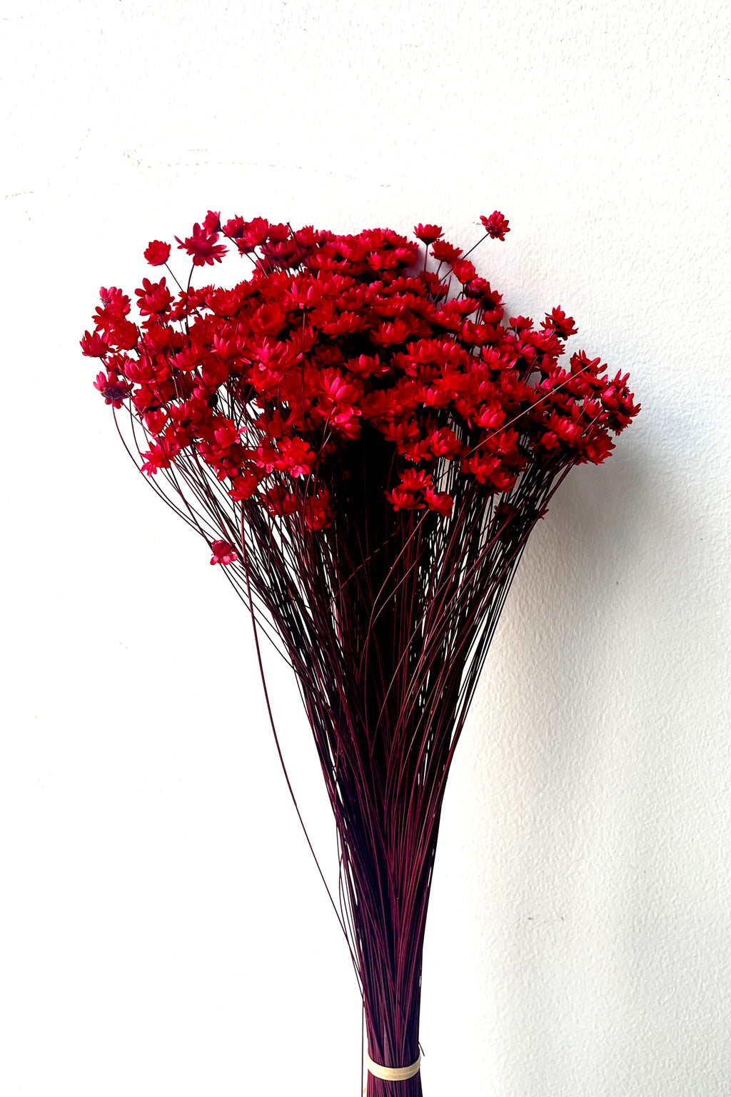 Glixia Red Color Preserved Bunch