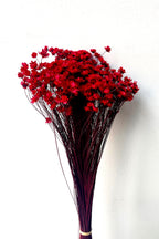 Glixia Red Color Preserved Bunch