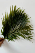 Chico Palm Green Color Preserved Bunch