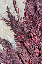 Jacaranda Burgundy Color Preserved Bunch
