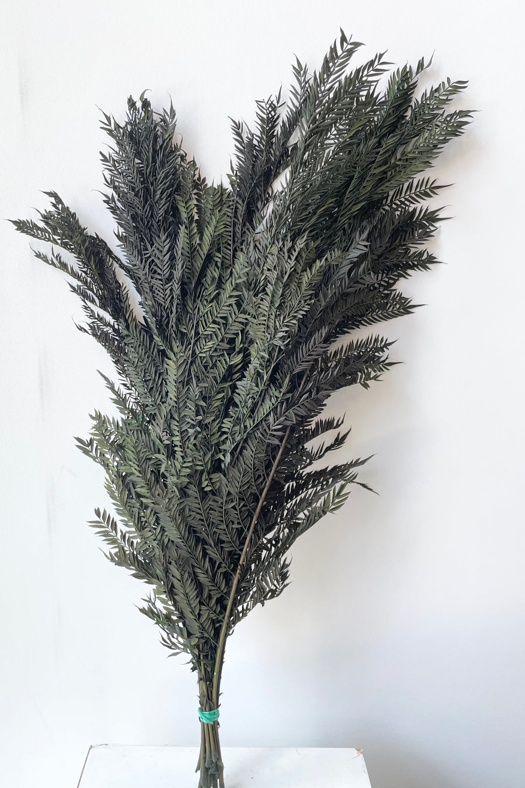 Jacaranda Green Color Preserved Bunch