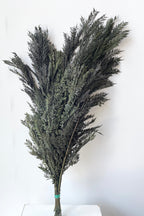 Jacaranda Green Color Preserved Bunch