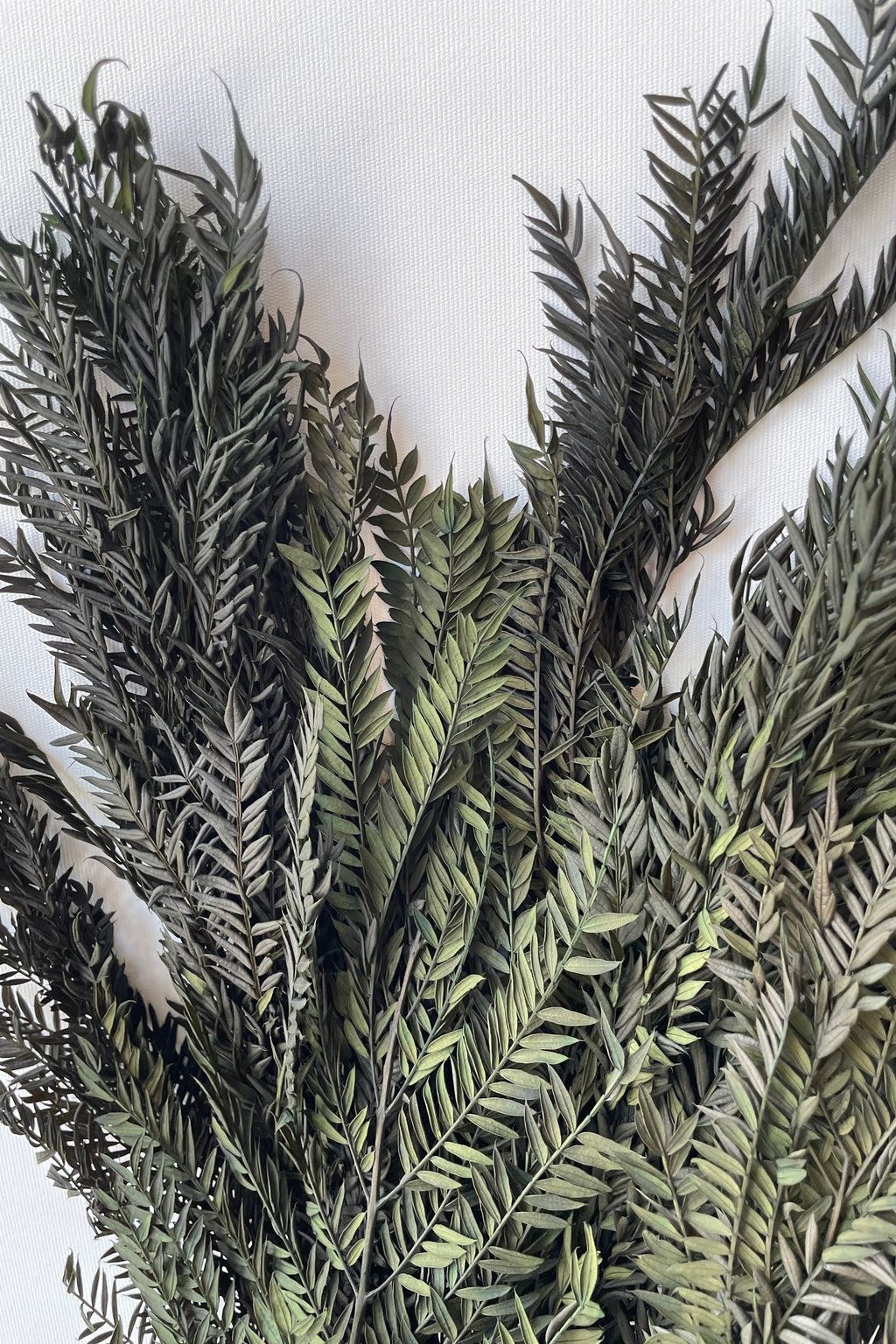 Jacaranda Green Color Preserved Bunch