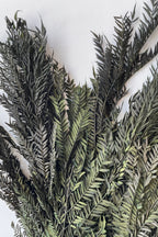 Jacaranda Green Color Preserved Bunch