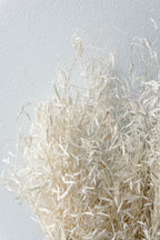 Munni Bleached Pastel Preserved Bunch