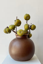 Brown Round Vase
