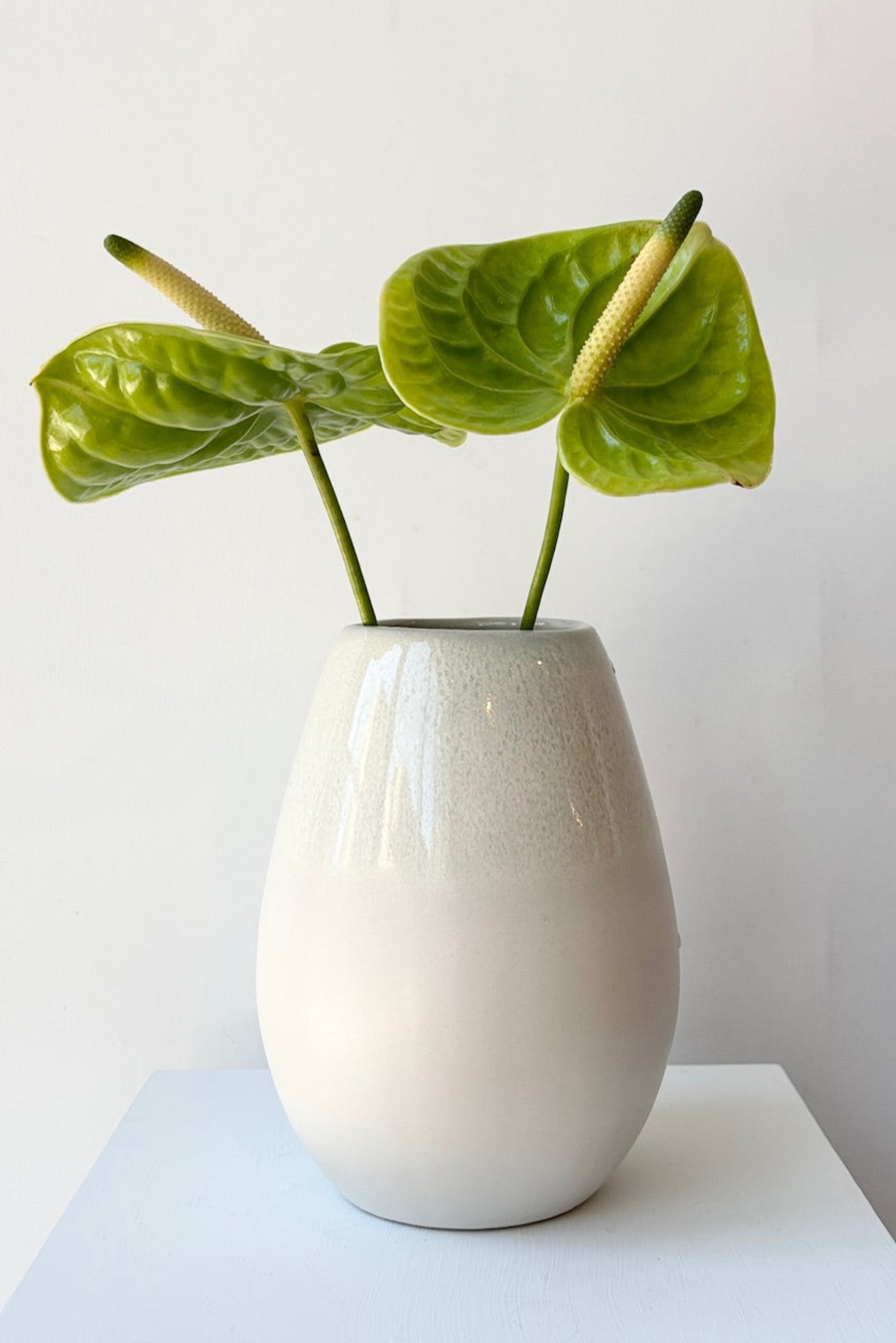 Ceramic Drop Vase