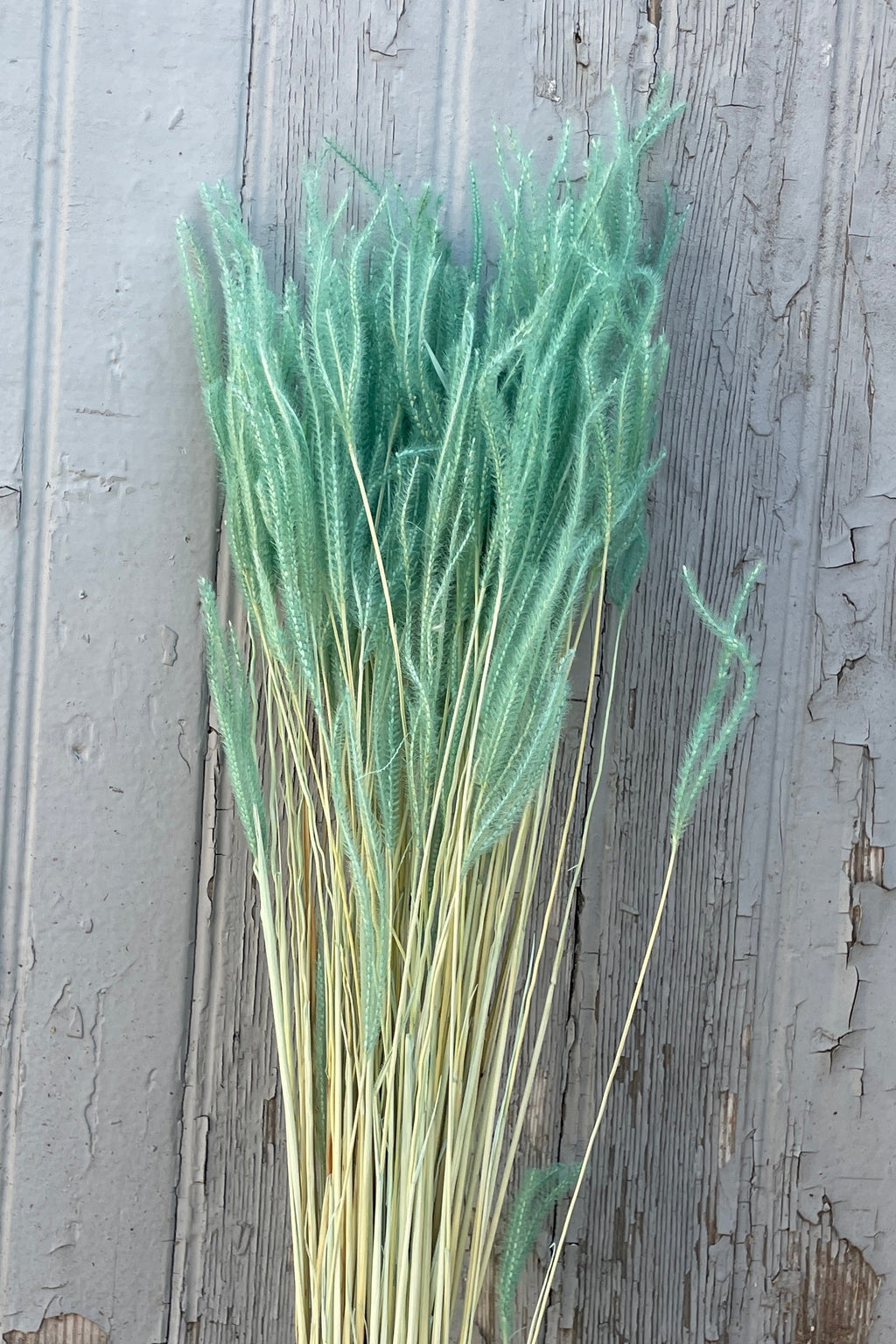 Ouro Teal Pastel Preserved Bunch