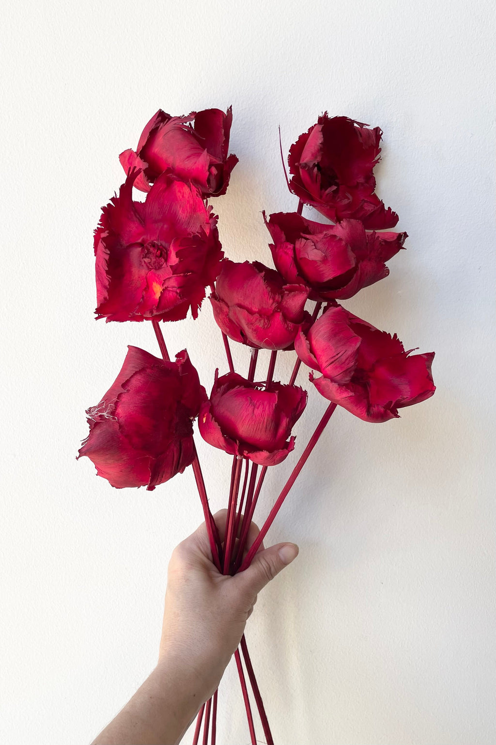 Palm Cap Red Pastel Preserved Bunch