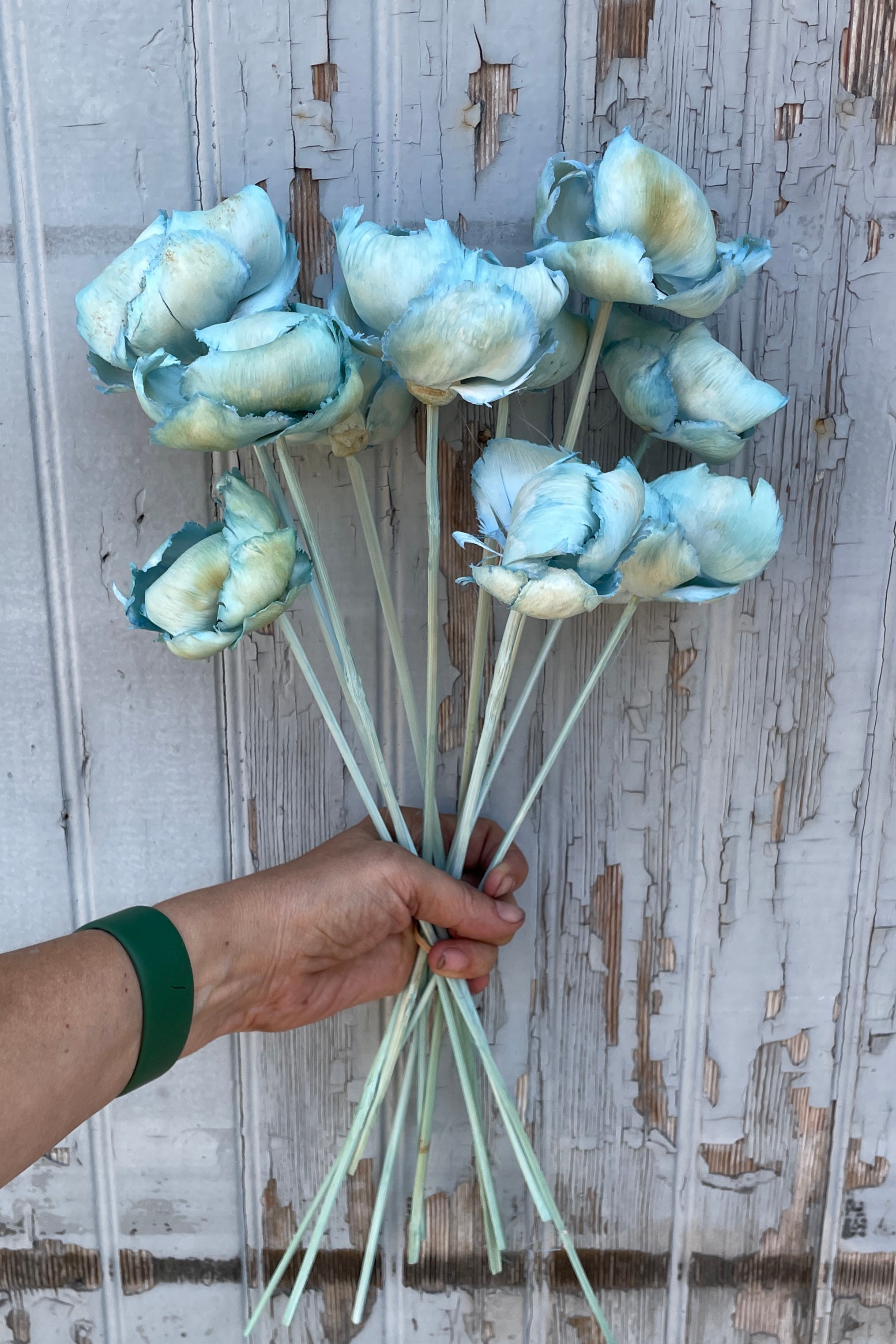 Palm Cap Gray Blue Pastel Preserved Bunch