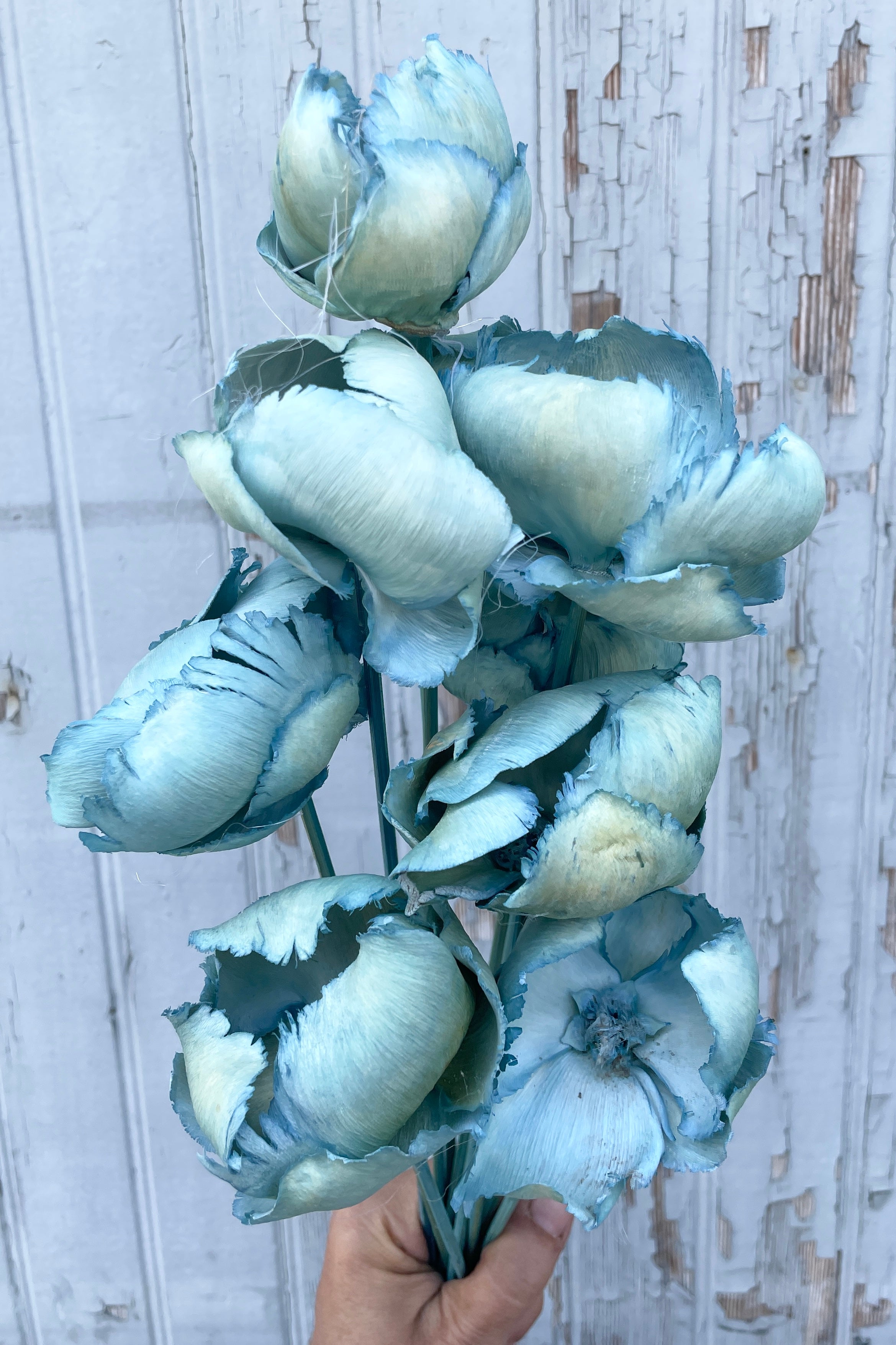 Palm Cap Baby Blue Pastel Preserved Bunch