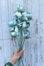 Palm Cap Baby Blue Pastel Preserved Bunch