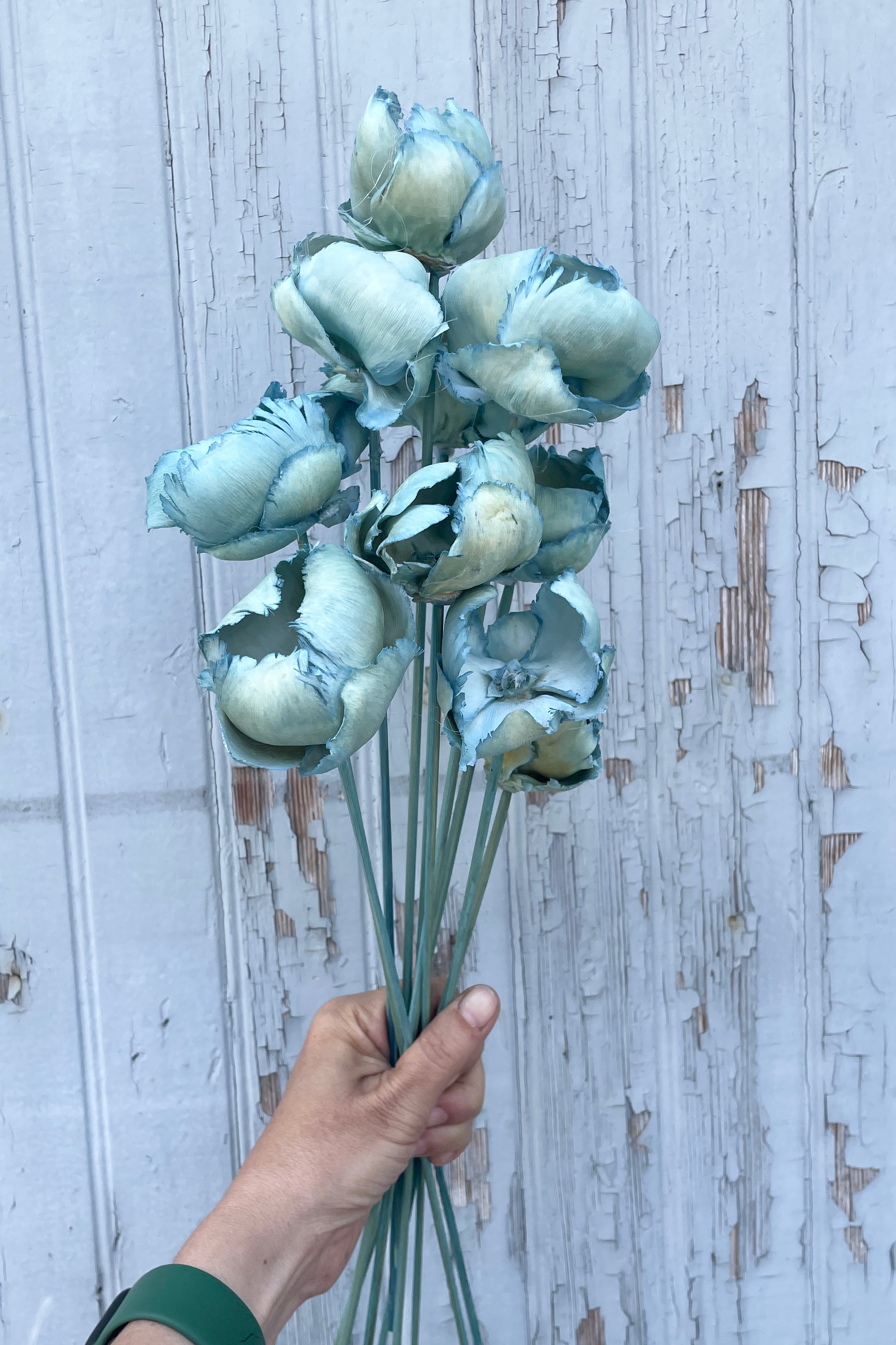 Palm Cap Baby Blue Pastel Preserved Bunch