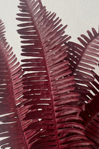 Helecho Seagul Burgundy Color Preserved Bunch