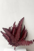 Helecho Seagul Burgundy Color Preserved Bunch