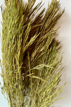 Andre Kise Olive Color Preserved Bunch