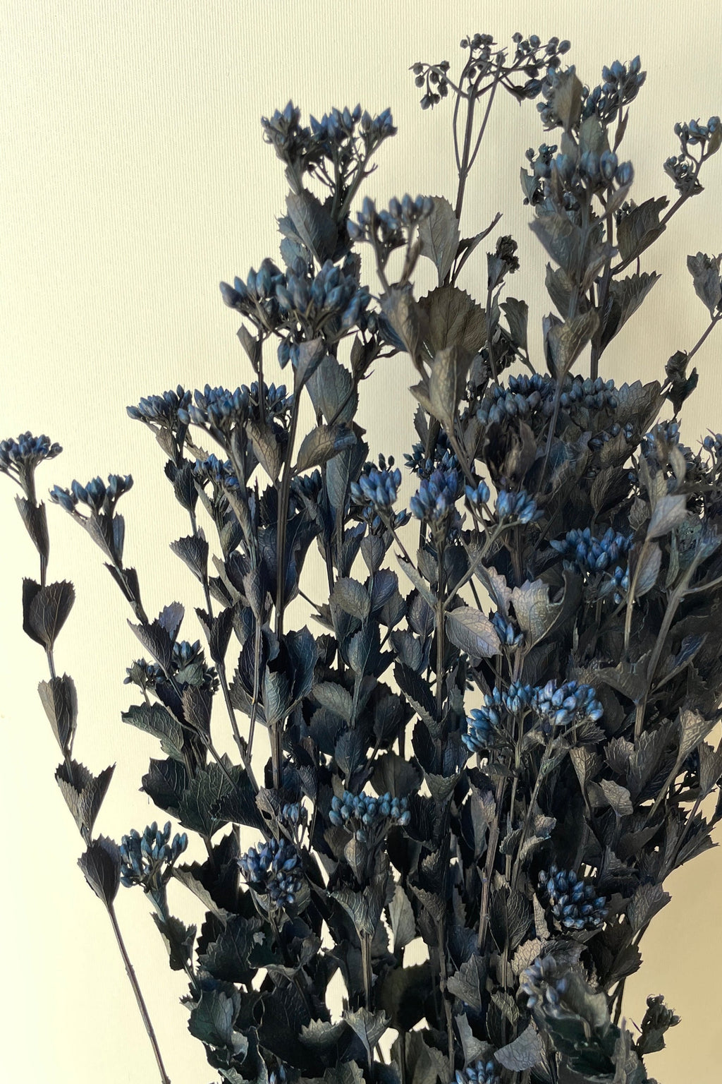 Chuvisco Blue Color Preserved Bunch
