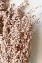 Briza Mini Pale Dark Pink Pastel Preserved Bunch