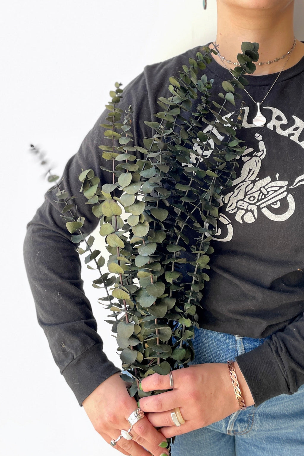 Eucalyptus Baby Natural Green Preserved Bunch