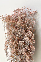 Gypsophila Paniculata Dusty Pink Color Preserved Bunch