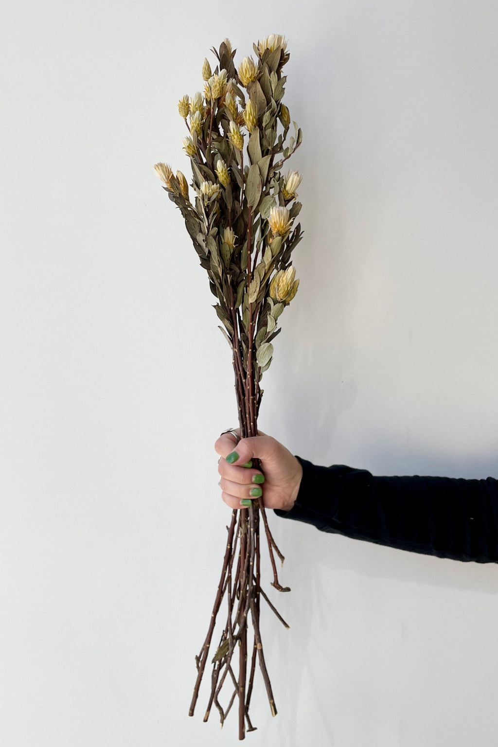 Maracumba Natural Preserved Bunch