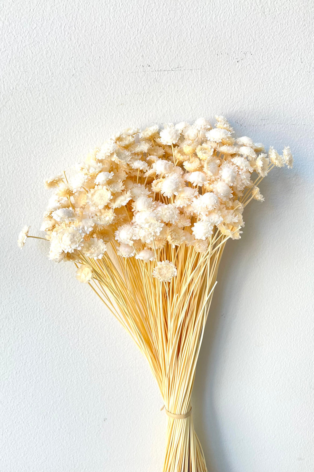 Margaret Bleached Pastel Preserved Bunch