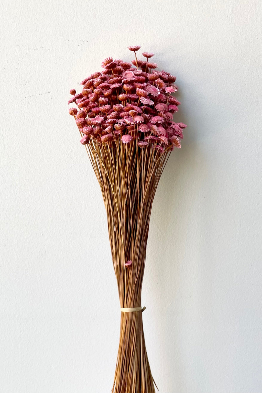 Margaret Light Pink Color Preserved Bunch