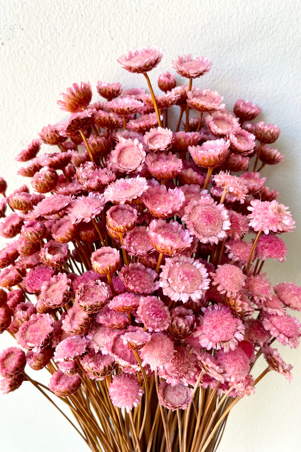 Margaret Light Pink Color Preserved Bunch