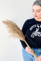 Pluma Mini Natural Preserved Bunch