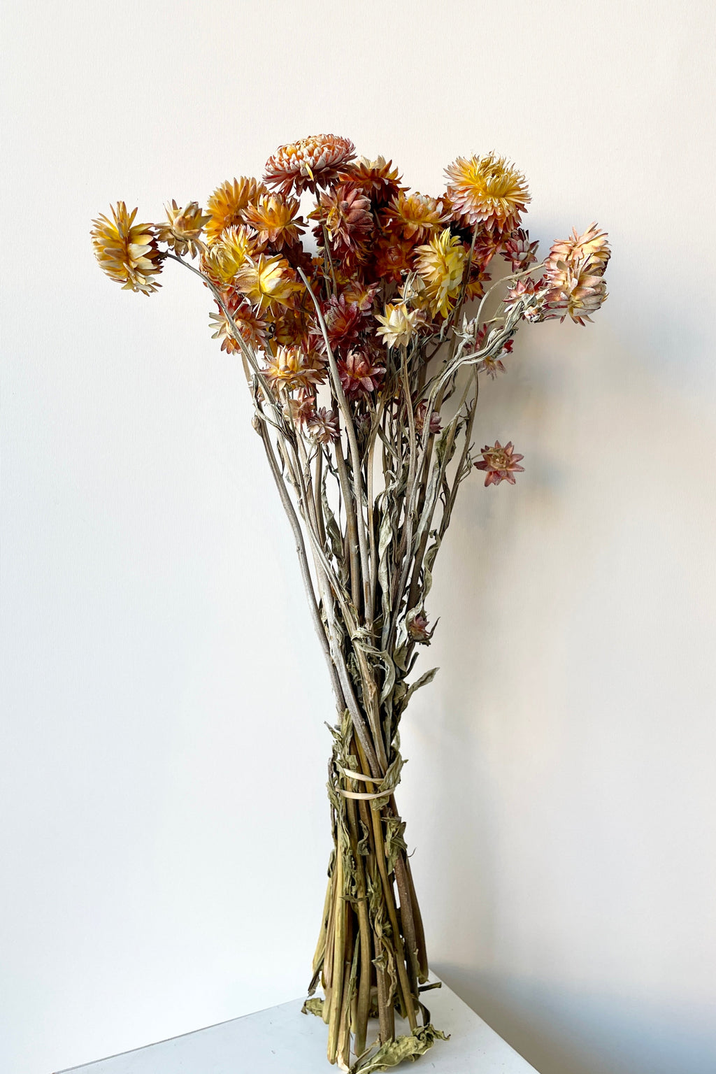Helichrysum Dusty Brick Color Preserved Bunch