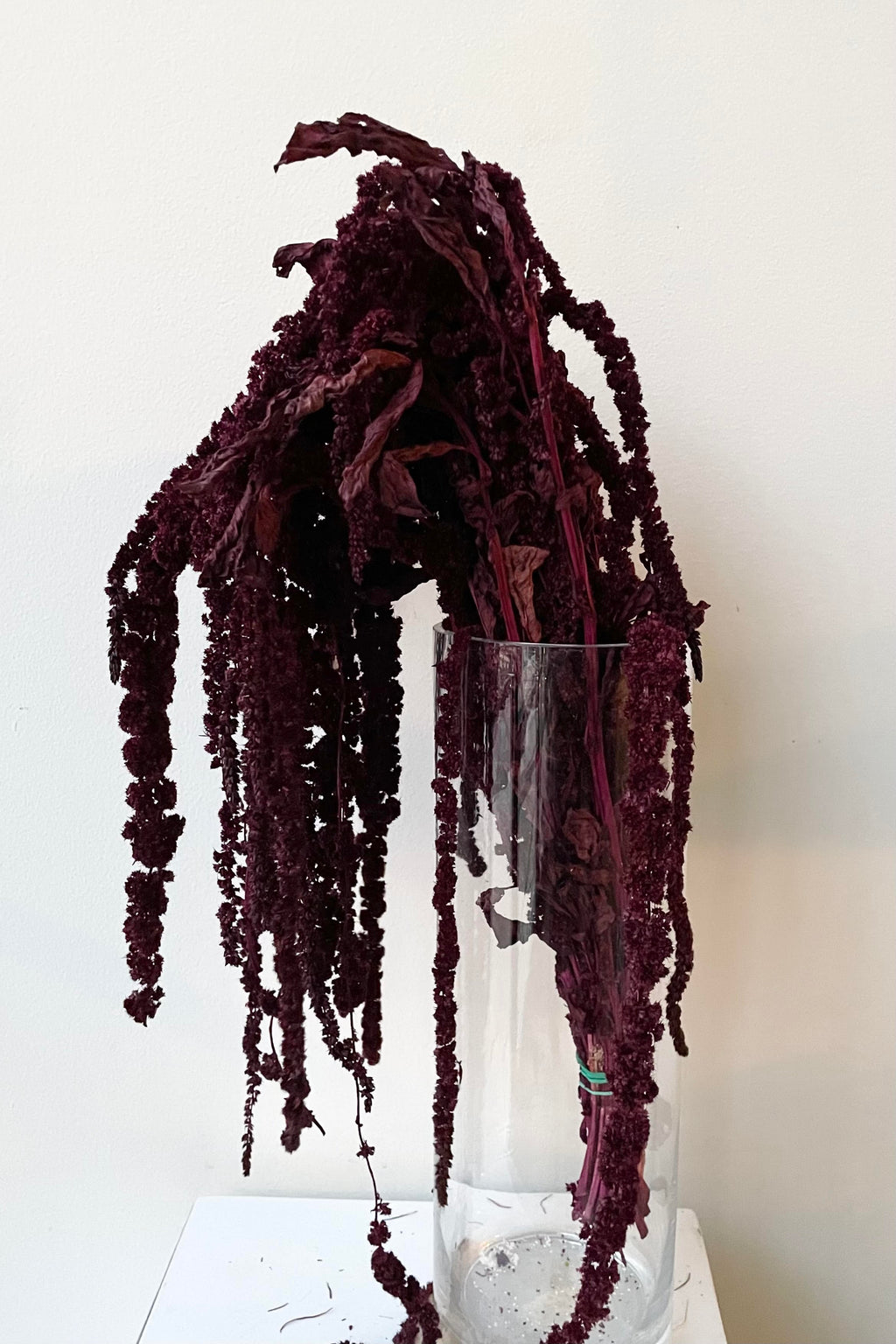 Amaranthus Burgundy Color Preserved Bunch
