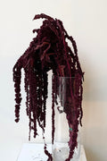 Amaranthus Burgundy Color Preserved Bunch