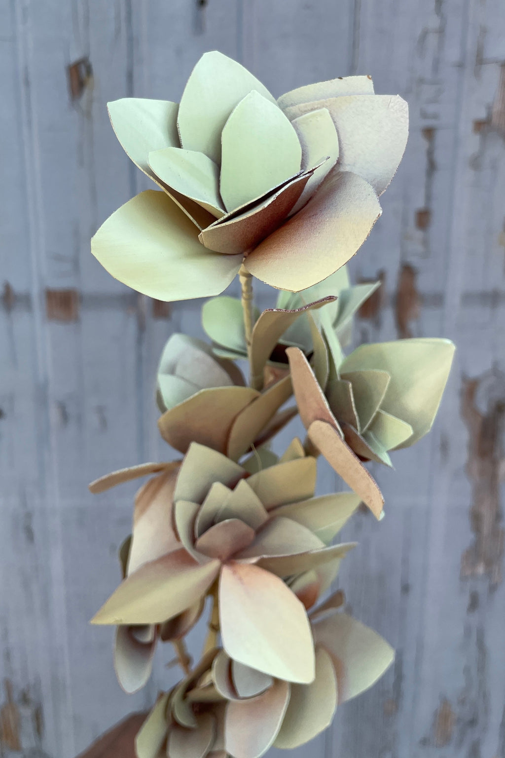 Tari Mint Pastel Preserved Bunch