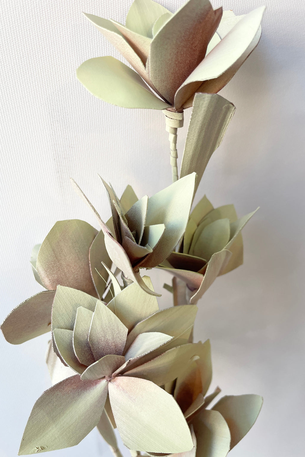 Tari Mint Pastel Preserved Bunch