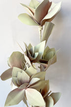 Tari Mint Pastel Preserved Bunch