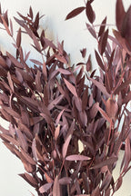Eucalyptus Parvifolia Burgundy Color Preserved Bunch