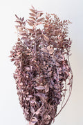 Ruscus Washed Dark Pink Matte Preserved Bunch