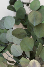Eucalyptus Populus Natural Color Preserved Bunch