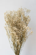 Gypsophila Paniculata Natural Preserved Bunch