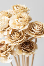 Cedar Rose Bleached Pastel Preserved Bunch